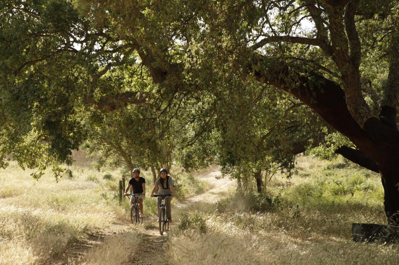ハーダド ダ マティンハ ホテル Cercal do Alentejo エクステリア 写真
