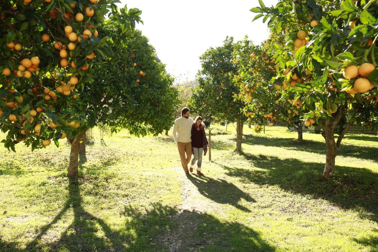ハーダド ダ マティンハ ホテル Cercal do Alentejo エクステリア 写真